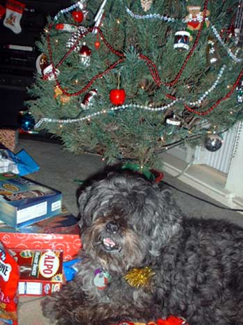 christmas2001